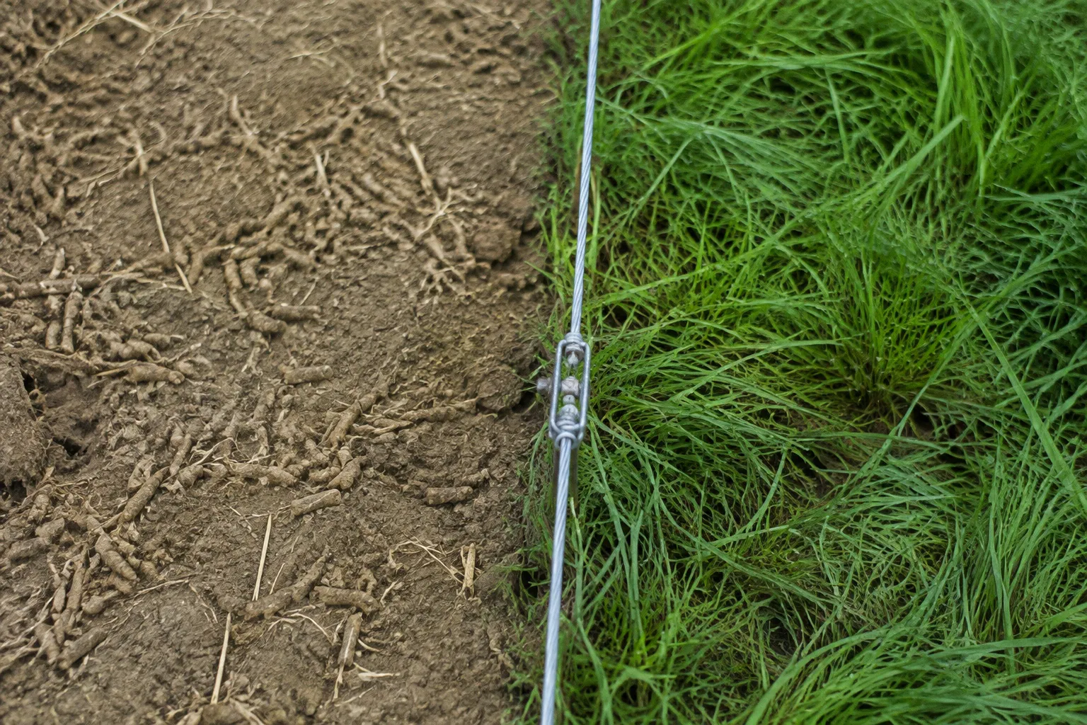 Transition vers le 100 % herbe : l'avant-après d'un élevage