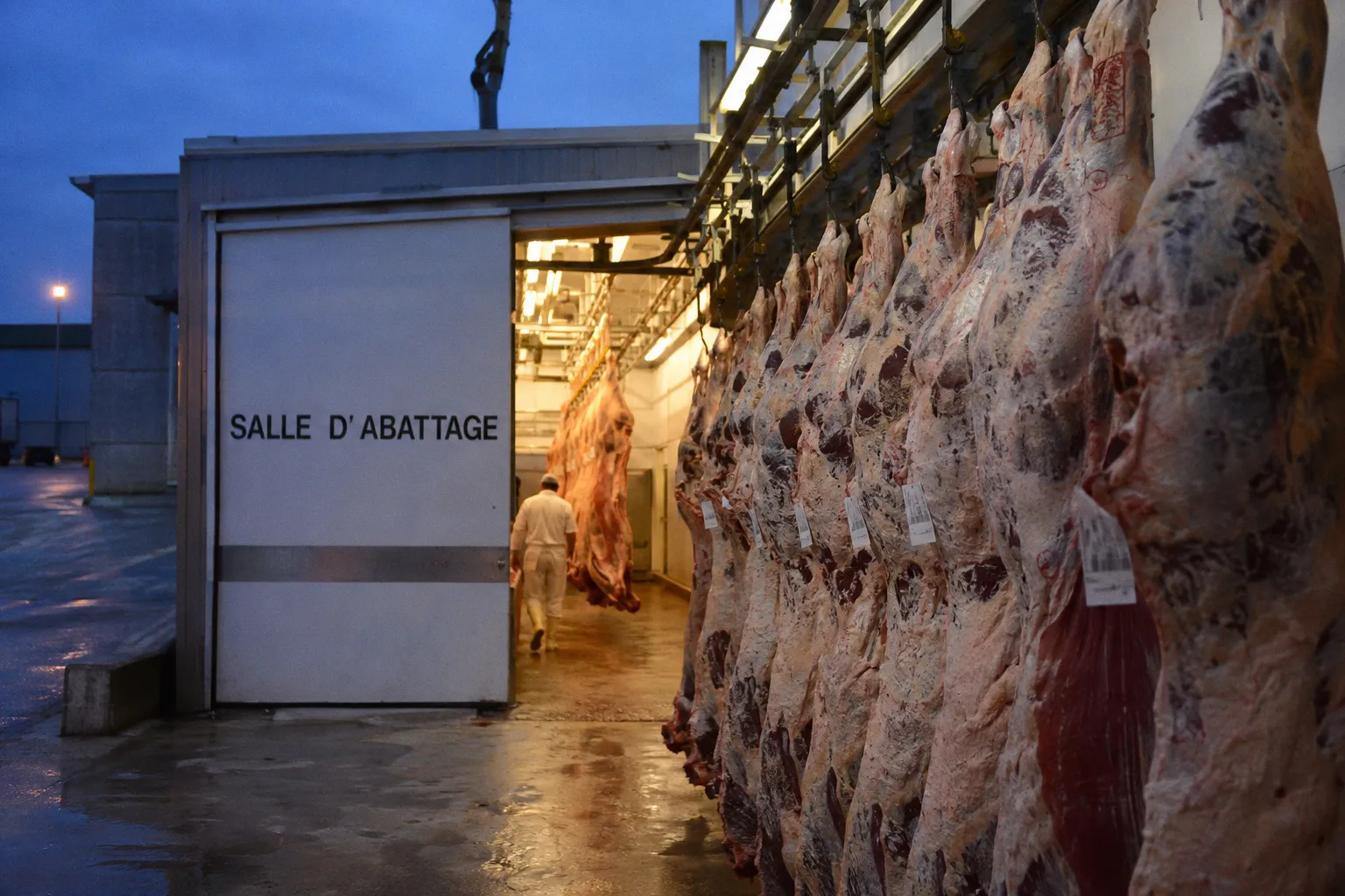 Viande bovine : l'USDA repousse la consultation sur les normes de classement